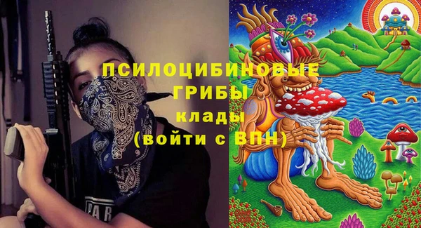 а пвп мука Бугульма